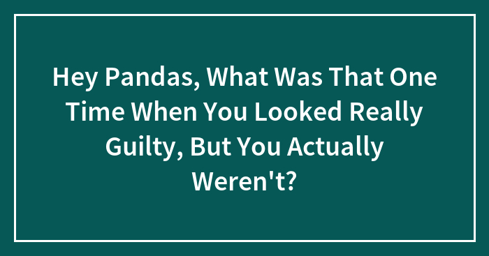 Hey Pandas, What Was That One Time When You Looked Really Guilty, But You Actually Weren’t? (Closed)