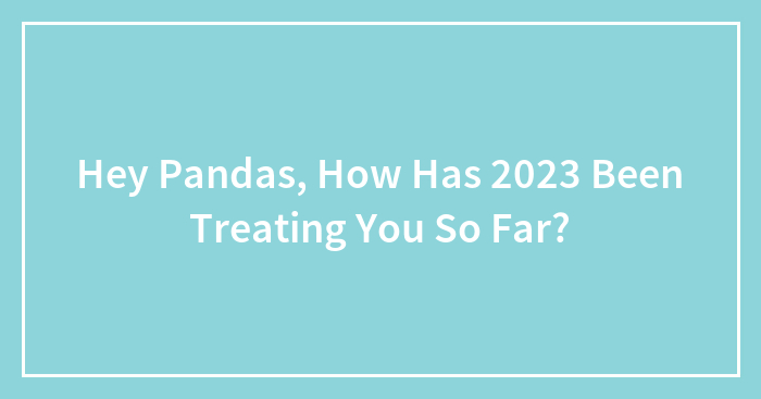 Hey Pandas, How Has 2023 Been Treating You So Far? (Closed)