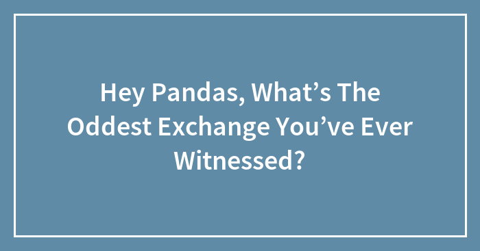 Hey Pandas, What’s The Oddest Exchange You’ve Ever Witnessed? (Closed)
