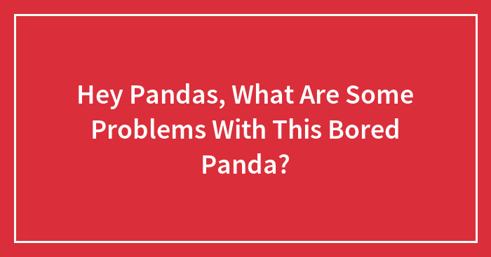 Hey Pandas, What Are Some Problems With This Bored Panda?