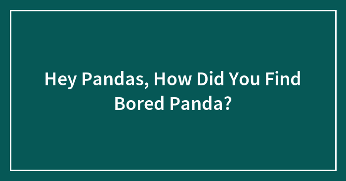 Hey Pandas, How Did You Find Bored Panda?