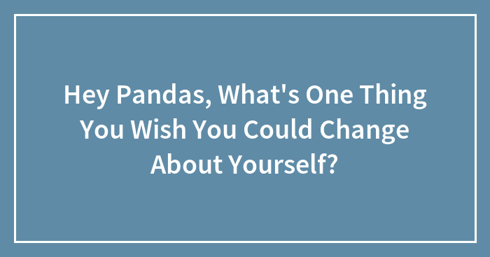 Hey Pandas, What’s One Thing You Wish You Could Change About Yourself? (Closed)