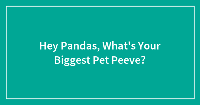 Hey Pandas, What’s Your Biggest Pet Peeve?