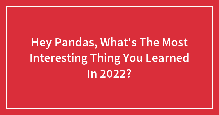 Hey Pandas, What’s The Most Interesting Thing You Learned In 2022? (Closed)