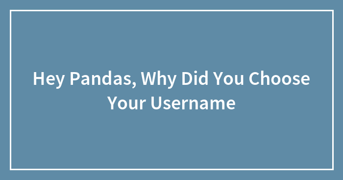 Hey Pandas, Why Did You Choose Your Username