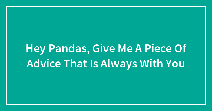 Hey Pandas, Give Me A Piece Of Advice That Is Always With You