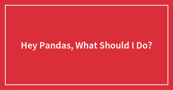 Hey Pandas, What Should I Do?
