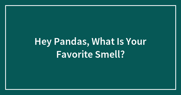 Hey Pandas, What Is Your Favorite Smell?