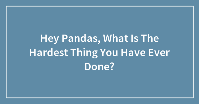 Hey Pandas, What Is The Hardest Thing You Have Ever Done? (Closed)