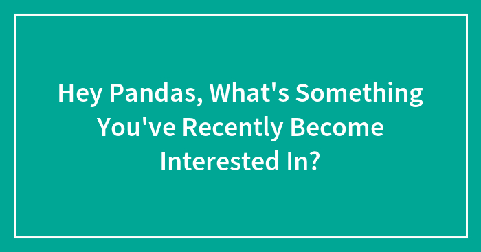 Hey Pandas, What’s Something You’ve Recently Become Interested In?