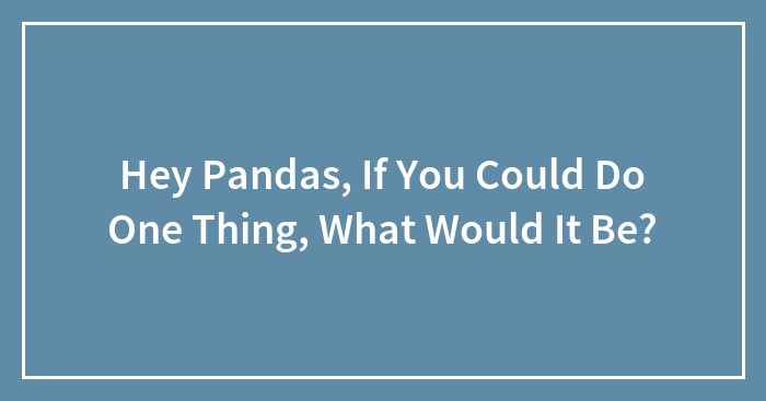 Hey Pandas, If You Could Do One Thing, What Would It Be?
