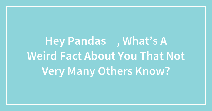 Hey Pandas 🐼, What’s A Weird Fact About You That Not Very Many Others Know?