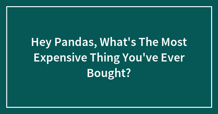 Hey Pandas, What’s The Most Expensive Thing You’ve Ever Bought?