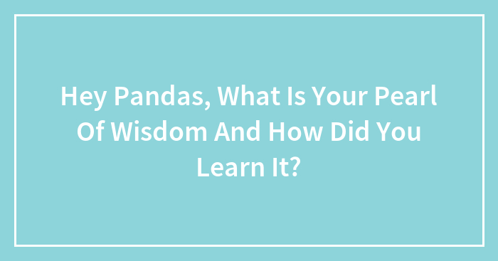Hey Pandas, What Is Your Pearl Of Wisdom And How Did You Learn It? (Closed)