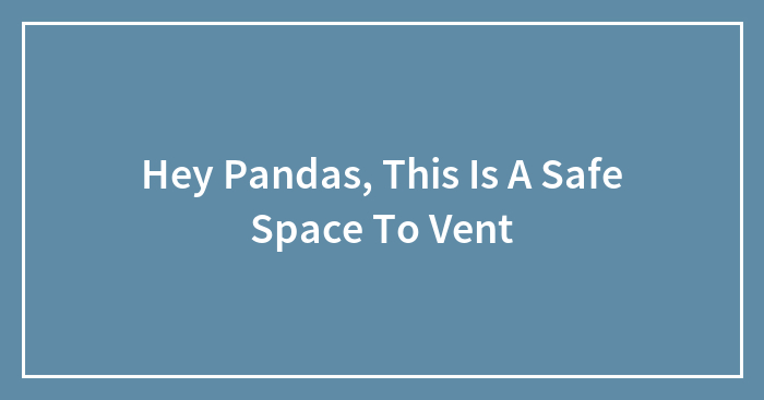 Hey Pandas, This Is A Safe Space To Vent