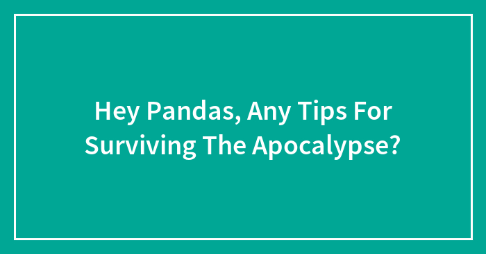 Hey Pandas, Any Tips For Surviving The Apocalypse?