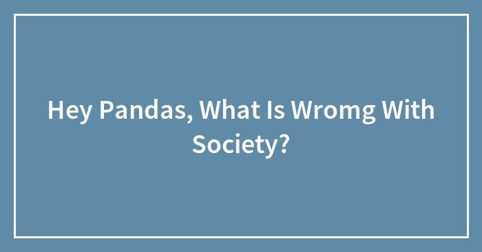 Hey Pandas, What Is Wromg With Society?