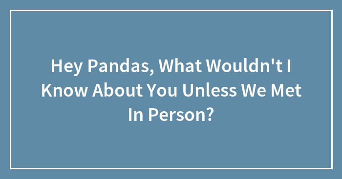 Hey Pandas, What Wouldn’t I Know About You Unless We Met In Person? (Closed)