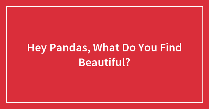 Hey Pandas, What Do You Find Beautiful? (Closed)