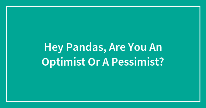 Hey Pandas, Are You An Optimist Or A Pessimist?
