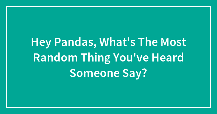 Hey Pandas, What’s The Most Random Thing You’ve Heard Someone Say?
