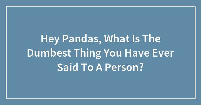 Hey Pandas, What Is The Dumbest Thing You Have Ever Said To A Person?