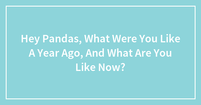 Hey Pandas, What Were You Like A Year Ago, And What Are You Like Now?