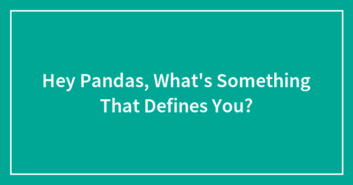 Hey Pandas, What’s Something That Defines You?