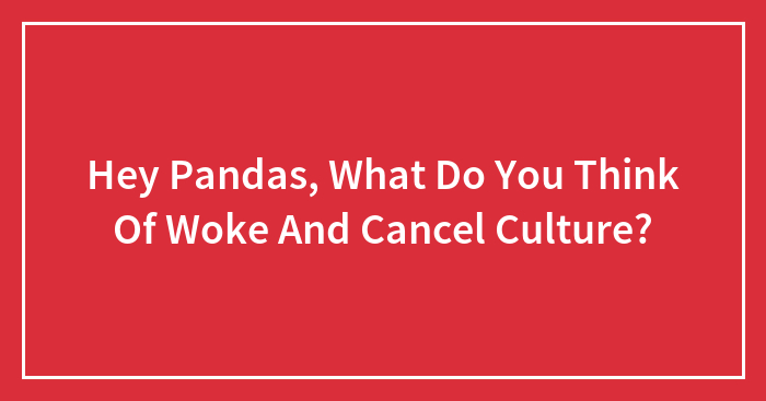 Hey Pandas, What Do You Think Of Woke And Cancel Culture?