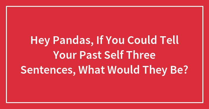 Hey Pandas, If You Could Tell Your Past Self Three Sentences, What Would They Be?