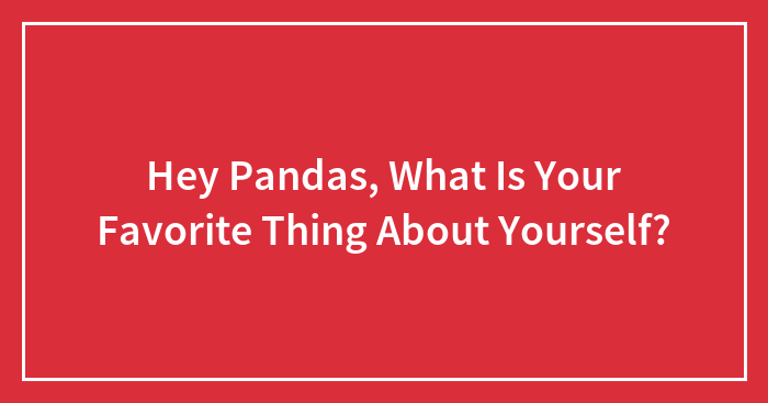 Hey Pandas, What Is Your Favorite Thing About Yourself?