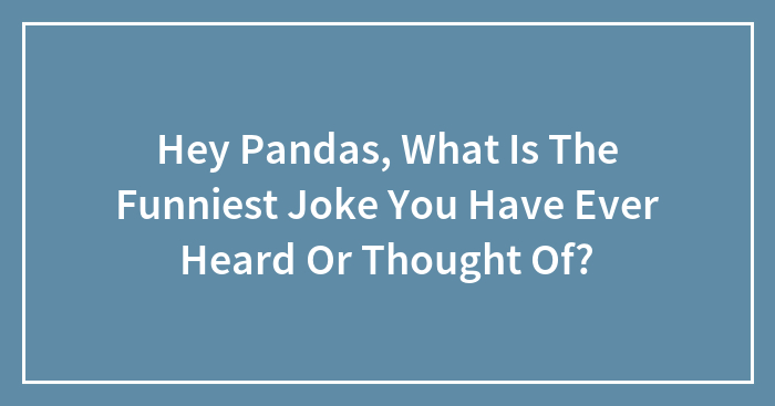 Hey Pandas, What Is The Funniest Joke You Have Ever Heard Or Thought Of?