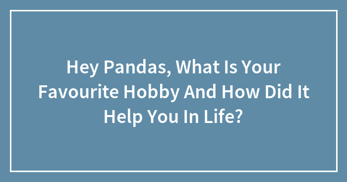 Hey Pandas, What Is Your Favorite Hobby And How Did It Help You In Life? (Closed)