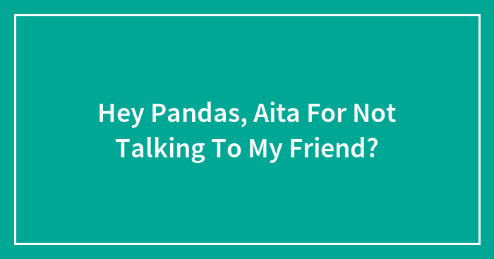 Hey Pandas, Aita For Not Talking To My Friend?