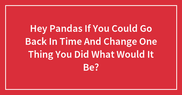 Hey Pandas If You Could Go Back In Time And Change One Thing You Did What Would It Be?