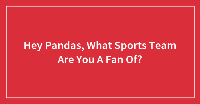 Hey Pandas, What Sports Team Are You A Fan Of?