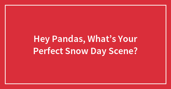 Hey Pandas, What’s Your Perfect Snow Day Scene?