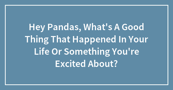 Hey Pandas, What’s A Good Thing That Happened In Your Life Or Something You’re Excited About? (Closed)