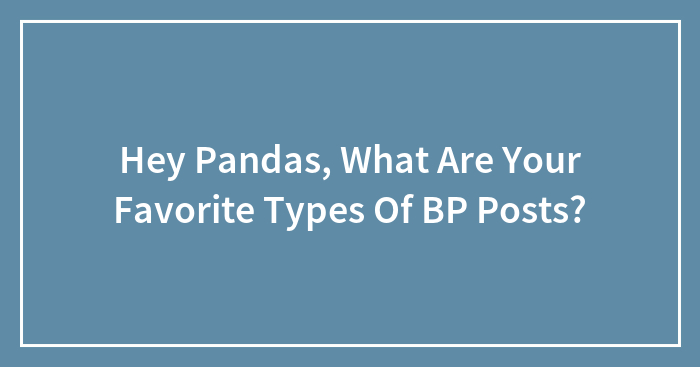 Hey Pandas, What Are Your Favorite Types Of BP Posts? (Closed)
