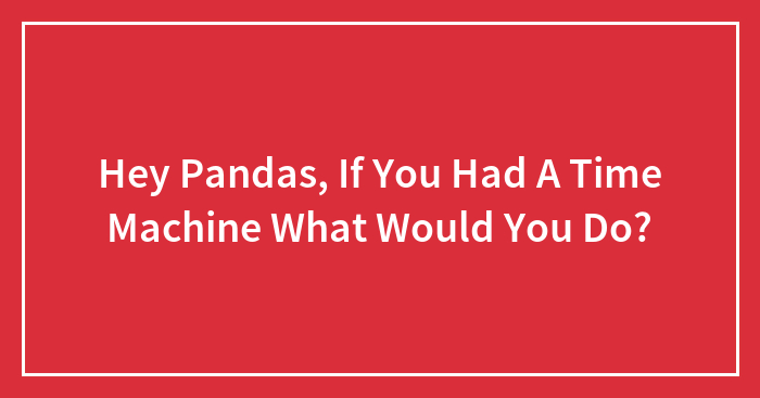Hey Pandas, If You Had A Time Machine What Would You Do? (Closed)