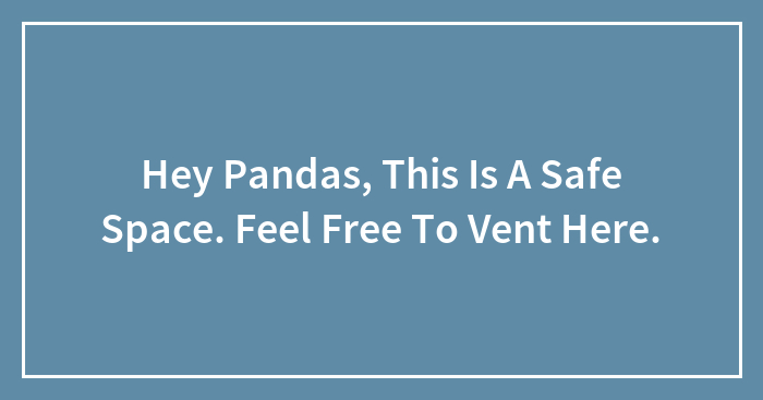 Hey Pandas, This Is A Safe Space. Feel Free To Vent Here.