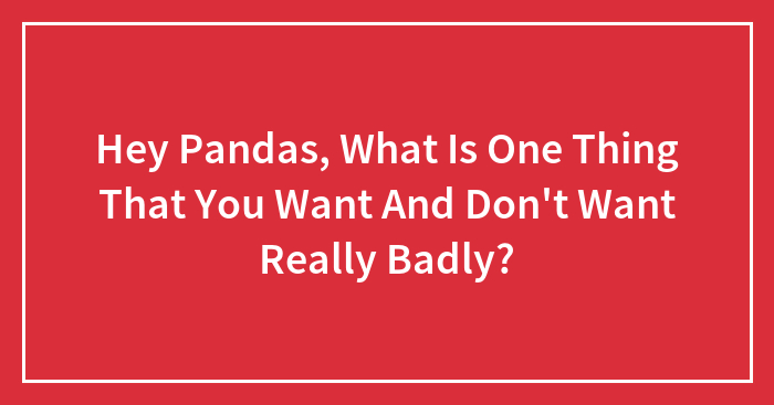 Hey Pandas, What Is One Thing That You Want And Don’t Want Really Badly?