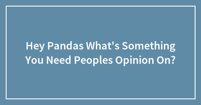 Hey Pandas What’s Something You Need Peoples Opinion On?
