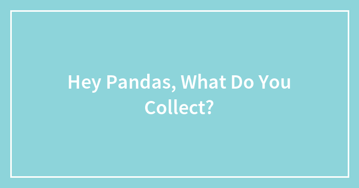 Hey Pandas, What Do You Collect?