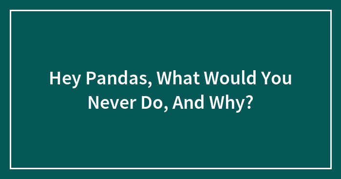 Hey Pandas, What Would You Never Do, And Why?