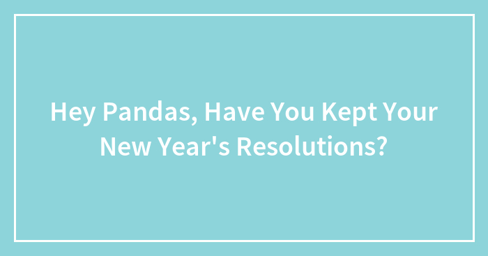 Hey Pandas, Have You Kept Your New Year’s Resolutions?