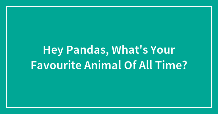 Hey Pandas, What’s Your Favourite Animal Of All Time?