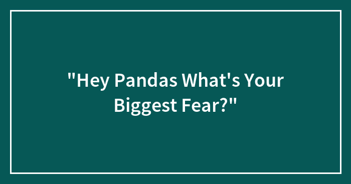 “Hey Pandas What’s Your Biggest Fear?”