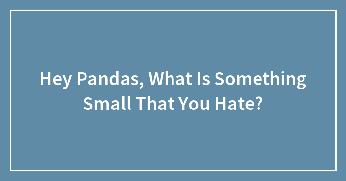 Hey Pandas, What Is Something Small That You Hate?