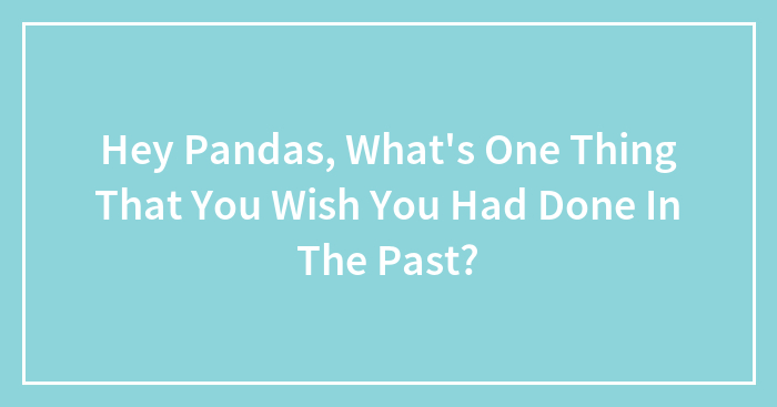 Hey Pandas, What’s One Thing That You Wish You Had Done In The Past? (Closed)